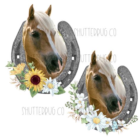 Palomino Horse PNG, Horseshoe, Horse Lovers Design, Printable Art, Instant Download ...