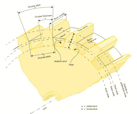 Gear Terminology: Basic definitions with PDF | The Mechanical post