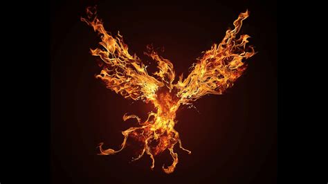 HD Phoenix Wallpapers - Top Free HD Phoenix Backgrounds - WallpaperAccess