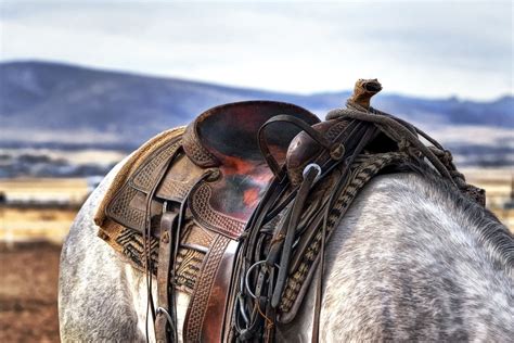 Saddle Horse Cowboy · Free photo on Pixabay