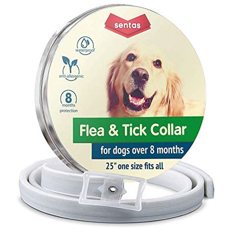 Flea collar | Flea and tick prevention for dogs | Flea collar for dogs ...