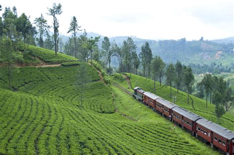 Tea Tour of Sri Lanka – Tropical Asia Tours