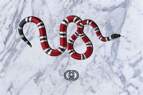 Gucci Snakes Desktop Wallpapers - Wallpaper Cave