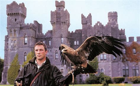 Ireland's School of Falconry | Mayo | Ireland | Tourism | Travel | "If Curious" for the ...