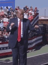 Funny Donald Trump Dancing GIF | GIFDB.com