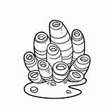Sponge Grows In The Sand Coloring Book Linear Drawing Stock Vector  sketch template