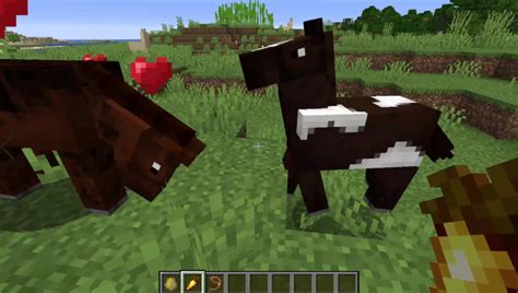 Minecraft: Animal Breeding Guide - How-To Breed All Animals! (2021) - Pro Game Guides