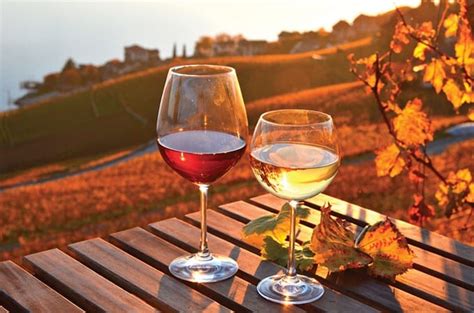 Happy Hour: Fall Wine | Town&Style