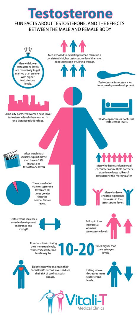 What Causes Low Testosterone? - Dr. Sam Robbins