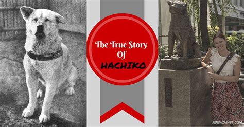 The Amazing And True Story Of Hachiko The Dog