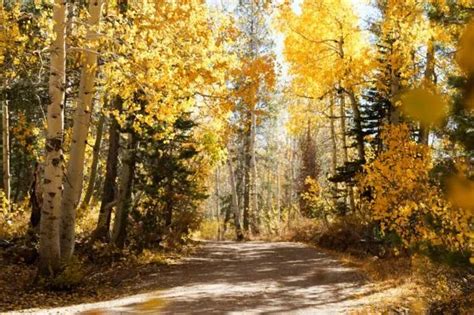 The Best Fall Destinations in California - Bon Traveler