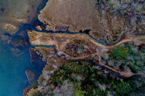 2020 Okavango Delta Flood is on its way - African Safari Blogs