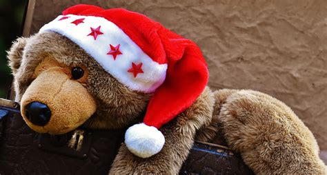 Free Images : leather, antique, junk, christmas, luggage, teddy bear ...