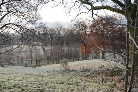 Crows Nest Park Golf Club | Frost 'painted' on the landscape… | Flickr