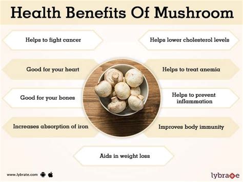 Benefits of Mushroom And Its Side Effects | Lybrate