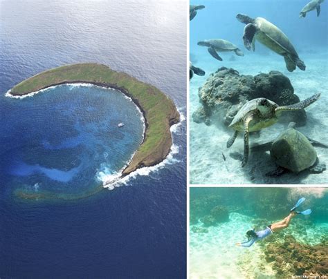 Molokini Snorkel Boat Tickets | Discount on Catamaran Snorkeling