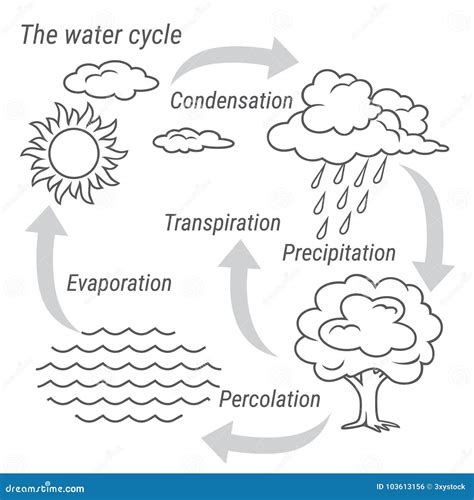 gráfico Indomable Remontarse ciclo del agua dibujo facil Inspección Compatible con comerciante