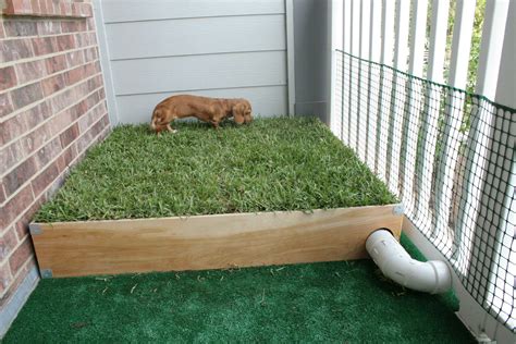 Easy build diy balcony dog potty areas with real grass – Artofit