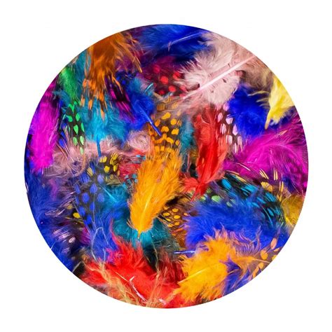 Coloured Guinea Fowl Feathers - - Dala