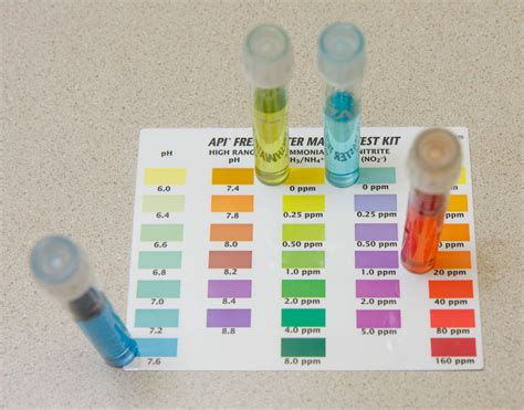 Printable Cheat Sheet For API Freshwater Master Test Kit, 44% OFF