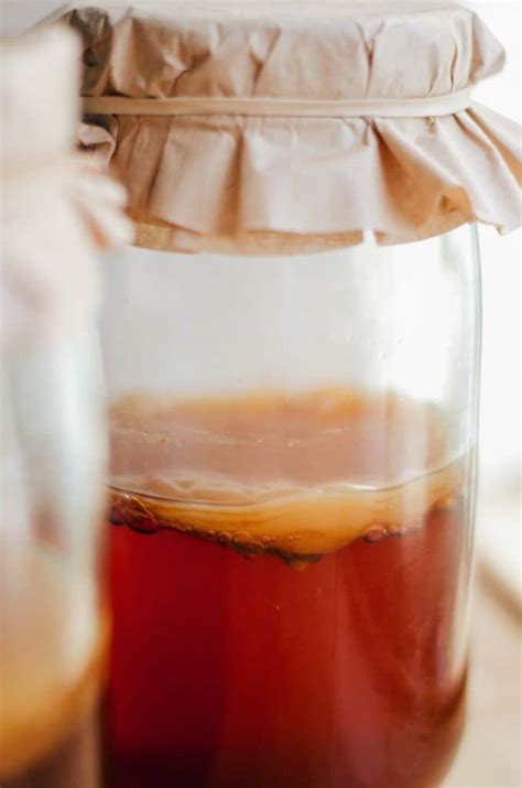 Homemade Kombucha: The Simple Guide to Kickass Kombucha