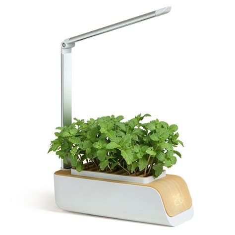 Smart LED Flower Pot - Kitchenware Crew