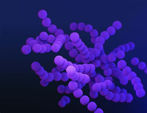 Purple Bacteria Image Free Photo