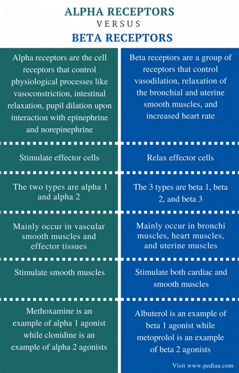 Difference Between Alpha and Beta Receptors | Definition, Mechanism ...