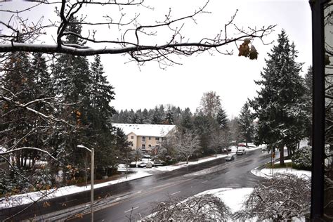 Slushy snow signals start of winter weather | Bellevue Reporter