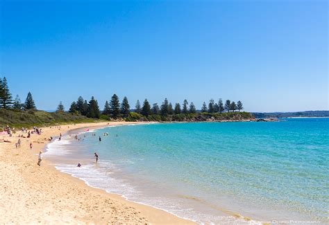 5 reasons to visit the stunning town of Bermagui