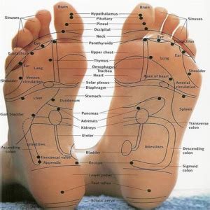 Reflexology - Sole Therapy