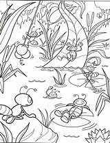 Fun Summer Coloring Sheets Pages Color Kids Seasons  sketch template