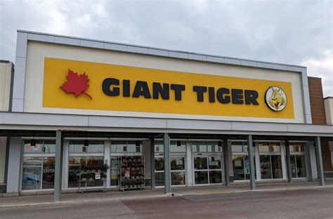 GIANT TIGER - Updated December 2024 - 27 Photos - 370 Main Street N, Brampton, Ontario, Canada ...