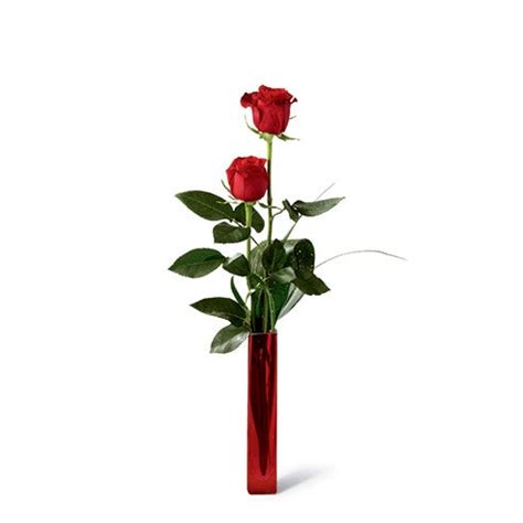 Single Rose Delivery at Send Flowers