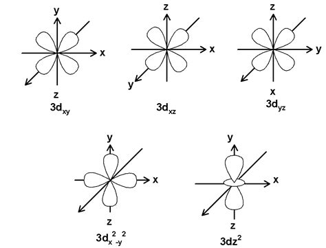 What is an orbital? Draw the shapes of the 1s, 2s, $\\text{ 2}{{\\text{p}}_{\\text{x}}}\\text ...