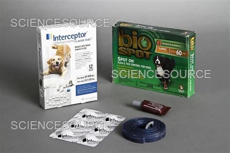 Photograph | Pet Care Products | Science Source Images