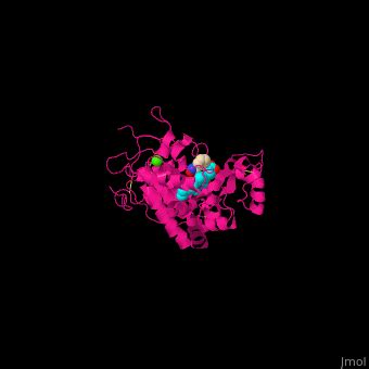 Horseradish peroxidase - Proteopedia, life in 3D