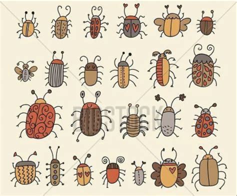 Bugs VS Insects | OER Commons