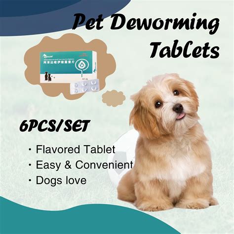 WCUCV Dog Dewormer, Canine Dewormer Dogs 1 Worm Medicine for Dogs 6 Capsules Pet Deworming ...