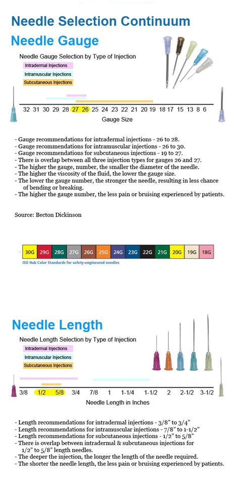 Medicine & Health: A Simple Guide To Medical Needles and Syringes