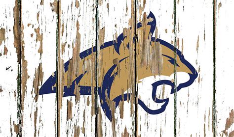 Montana State University Vintage College Logo Barn Wood Peeling Paint ...