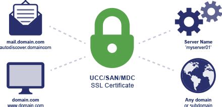 Understanding Different SSL/TLS Certificate Types - The SSL Store™