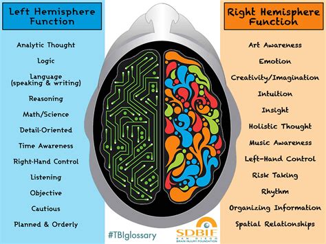 Each hemisphere of the brain is responsible for different functions ...