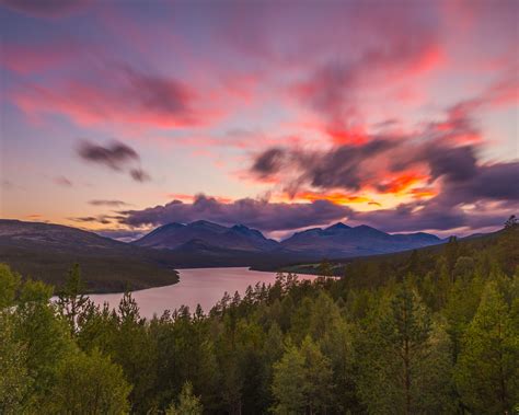 Vakantiehuizen Rondane National Park vanaf € 70/nacht | Vrbo