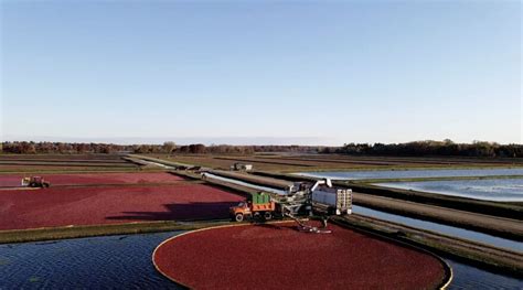 Wisconsin’s cranberry season is ripe with fall colors and activities ...