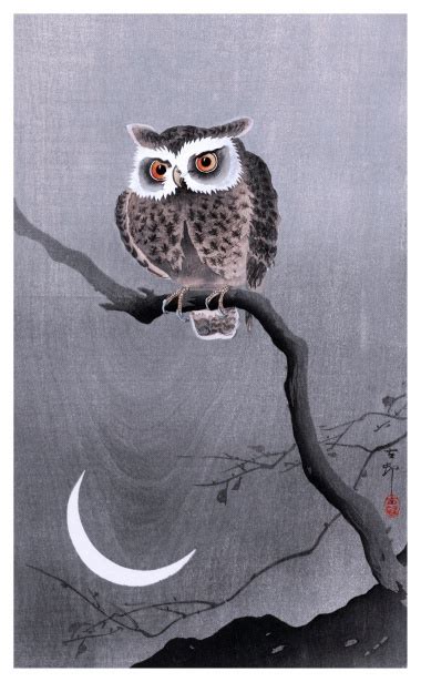 Owl Moon Art Vintage Free Stock Photo - Public Domain Pictures