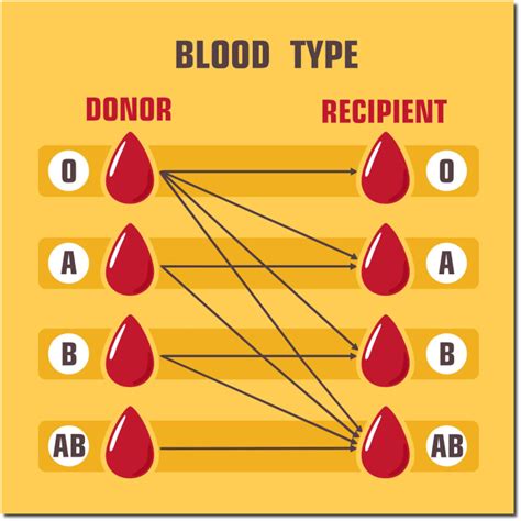 Who Can Donate To B+ Blood Tyep