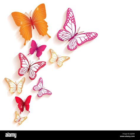 Colorful Butterflies Vector Background for Spring Elements. Editable ...