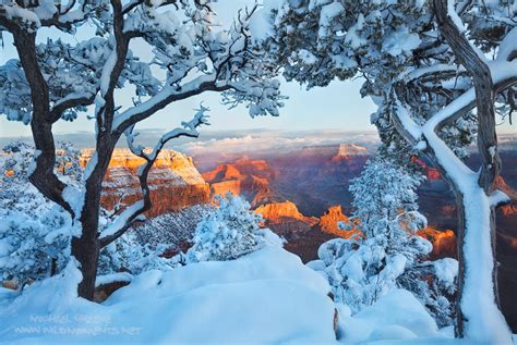 Heaven's Wonderland : Grand Canyon National Park, AZ : Michael Greene's Wild Moments - Landscape ...