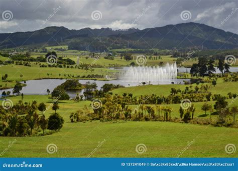 Gibbs Farm New Zealand Stock Photos - Free & Royalty-Free Stock Photos from Dreamstime